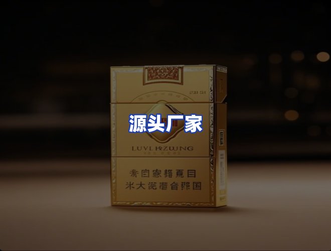 专业团队
